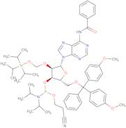 N-Benzoyl- 5'- O- DMT- 2'- O-[( triisopropylsilyl oxy)methyl]-adenosine 3'- CE phosphoramidite