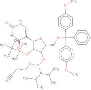 2'-O-tert-Butyldimethylsilyl-5'-O-DMT-pseudouridine 3'-CE phosphoramidite