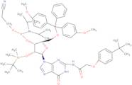 2'-O-tert-Butyldimethylsilyl-N-(tert-butylphenoxyacetyl)-5'-O-DMT-guanosine 3'-CE phosphoramidite