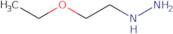 (2-Ethoxyethyl)hydrazine