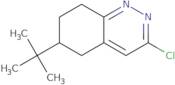 6-(tert-Butyl)-3-chloro-5,6,7,8-tetrahydrocinnoline