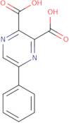 5-Phenylpyrazine-2,3-dicarboxylic acid