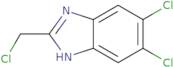 5,6-Dichloro-2-(chloromethyl)-1H-benzimidazole