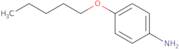 4-(Pentyloxy)aniline