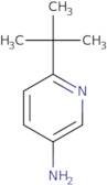 6-tert-Butylpyridin-3-amine