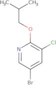 5-Bromo-3-chloro-2-(2-methylpropoxy)pyridine