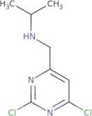 (2,6-Dichloro-pyrimidin-4-ylmethyl)-isopropyl-amine