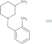 1-(2-Methyl-benzyl)-piperidin-3-ylamine hydrochloride