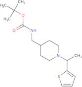 [1-(1-Thiophen-2-yl-ethyl)-piperidin-4-ylmethyl]-carbamic acid tert-butyl ester