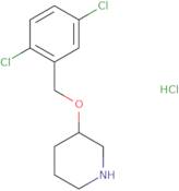3-(2,5-Dichloro-benzyloxy)-piperidine hydrochloride