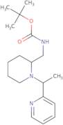 [1-(1-Pyridin-2-yl-ethyl)-piperidin-2-ylmethyl]-carbamic acid tert-butyl ester