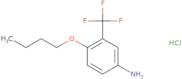 4-(3,4-Dichloro-benzyloxymethyl)-piperidine hydrochloride