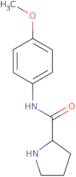 (3,4-Dichloro-benzyl)-(S)-pyrrolidin-3-yl-amine hydrochloride