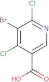 (2-Chloro-pyrimidin-4-yl)-(S)-pyrrolidin-3-yl-amine hydrochloride