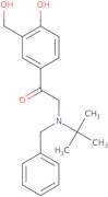 2-[benzyl(tert-butyl)amino]-1-[4-hydroxy-3-(hydroxymethyl)phenyl]ethan-1-one hydrochloride