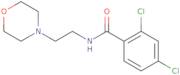 2,4-dichloro-N-[2-(morpholin-4-yl)ethyl]benzamide