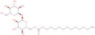 Trehalose 6-tetradecanoate