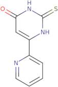 6-Pyridin-2-yl-2-thioxo-2,3-dihydropyrimidin-4(1(H))-one