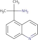 2-(Quinolin-5-yl)propan-2-amine