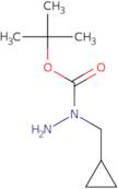 N-Cyclopropylmethyl-hydrazinecarboxylic acid tert-butyl ester