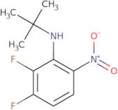 N-tert-Butyl-2,3-difluoro-6-nitroaniline