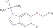 5-Bromo-1-t-butyl-6-ethoxybenzimidazole