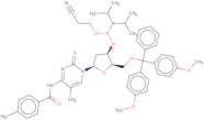 2'-Deoxy-5'-O-DMT-2-thio-N4-toluoylthymidine 3'-CE phosphoramidite