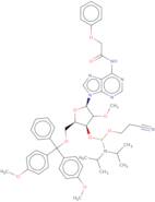 5'-O-DMT-2'-O-methyl-N6-phenoxyacetyladenosine 3'-CE phosphoramidite