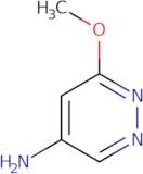 6-Methoxypyridazin-4-amine