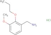 (3-Methoxy-2-propoxyphenyl)methanaminehydrochloride