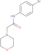 N-(4-Bromophenyl)-2-morpholinoacetamide