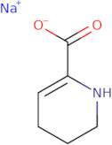 Sodium 1,4,5,6-tetrahydropyridine-2-carboxylate