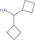 Dicyclobutylmethanamine