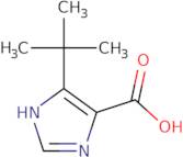 4-tert-Butyl-1H-imidazole-5-carboxylic acid