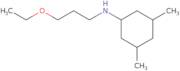 N-(3-Ethoxypropyl)-3,5-dimethylcyclohexan-1-amine