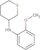 N-(2-Methoxyphenyl)thian-3-amine