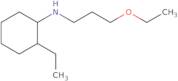 N-(3-Ethoxypropyl)-2-ethylcyclohexan-1-amine