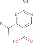 2-Amino-4-(difluoromethyl)pyrimidine-5-carboxylicacid