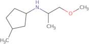 N-(1-Methoxypropan-2-yl)-3-methylcyclopentan-1-amine