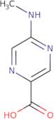 5-(Methylamino)pyrazine-2-carboxylic acid
