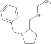 (1-Benzyl-pyrrolidin-2-ylmethyl)-ethyl-amine