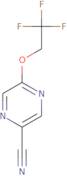 5-(2,2,2-Trifluoroethoxy)pyrazine-2-carbonitrile
