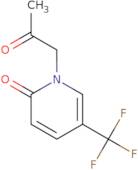 1-(2-Oxopropyl)-5-(trifluoromethyl)-1,2-dihydropyridin-2-one