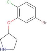 3-(5-Bromo-2-chlorophenoxy)pyrrolidine