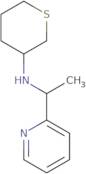 N-[1-(Pyridin-2-yl)ethyl]thian-3-amine