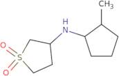 N-(2-Methylcyclopentyl)-1,1-dioxothiolan-3-amine