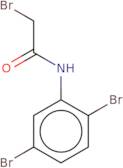 2-Bromo-N-(2,5-dibromophenyl)acetamide