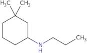 3,3-Dimethyl-N-propylcyclohexan-1-amine