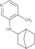 N-(2-Bicyclo[2.2.1]heptanyl)-4-methylpyridin-3-amine