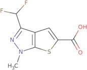 3-(Difluoromethyl)-1-methyl-1H-thieno[2,3-c]pyrazole-5-carboxylic acid